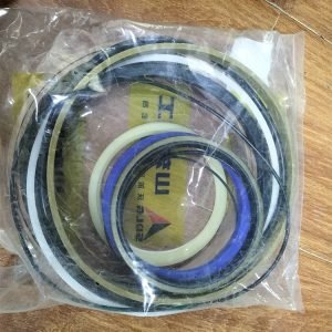 4120007867004 SDLG Seal kit